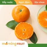  Quýt Oma Giống Úc 