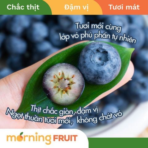  Việt quất Mỹ (Hộp 125gr) 