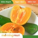  Hồng Da Tre Thái Nguyên 