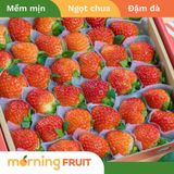  Dâu Nghệ Nhân (Hộp 500gr) 