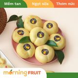  Đào sữa Hoàng Kim 