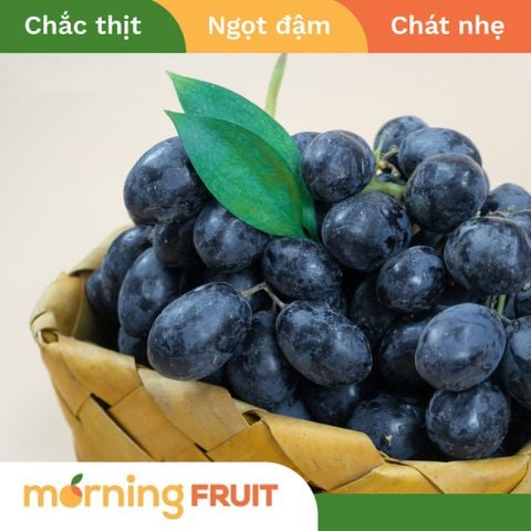  Nho đen Mỹ 