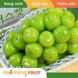  Nho mẫu đơn Hàn Quốc 