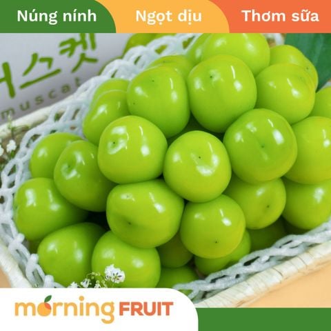  Nho mẫu đơn Hàn Quốc 