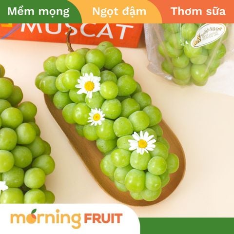  Nho mẫu đơn nội địa Trung 