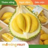  Sầu riêng Musang King 