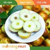  Hồng táo Bắc Kinh 