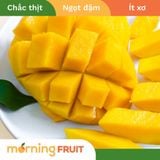  Xoài cát Hoà Lộc 