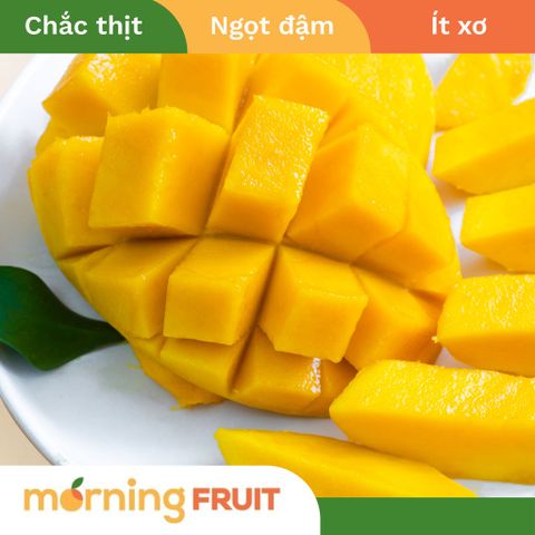  Xoài cát Hoà Lộc 