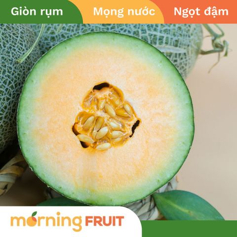  Dưa lưới mật Amore 