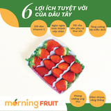  Hộp quà Tết dâu Hàn Quốc Joy Farm 