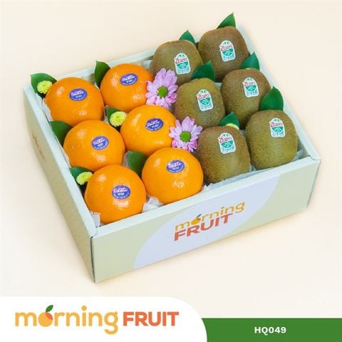  Hộp quà trái cây HQ049 