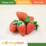  Dâu tây Hàn Quốc 
