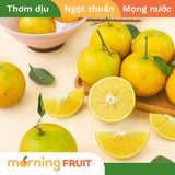  Cam Vinh 