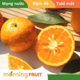  Cam mã mật Hà Giang 