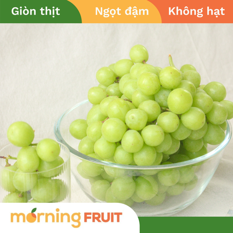  Nho xanh Mỹ 