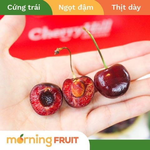  Cherry đỏ Úc 
