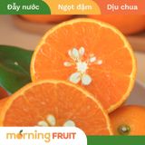  Quýt 2PH nội địa Trung 