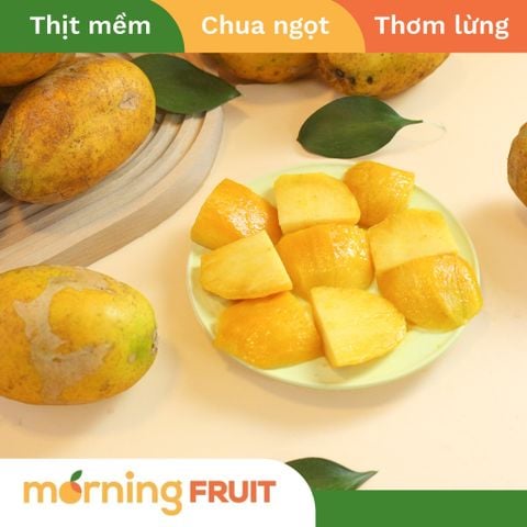 Cóc chín – Morning Fruit - Trái Cây Chất Lượng Cao