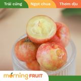  Sơ ri Gò Công 
