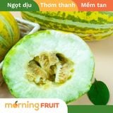  Dưa gang Tiền Giang (trái tròn) 