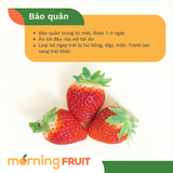  Hộp quà Tết dâu Hàn Quốc Joy Farm 