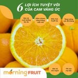  Cam vàng Úc 