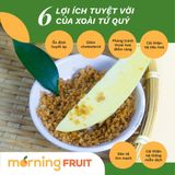  Xoài tứ quý da vàng 
