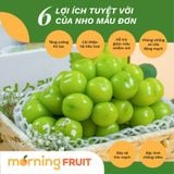  Nho mẫu đơn Hàn Quốc 