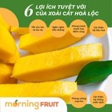  Xoài cát Hoà Lộc 