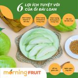  Ổi giống Đài Loan 