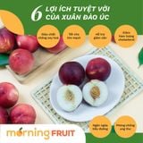  Xuân đào ruột trắng Úc 