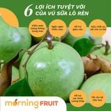 Vú sữa Lò Rèn 