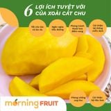  Xoài cát chu da vàng 