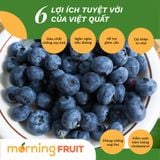  Việt quất Mỹ (Hộp 125gr) 