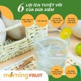 Dừa xiêm gọt trọc 