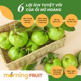  Ổi Nữ Hoàng 