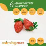  Dâu tây Hàn Quốc 