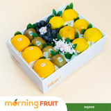  Hộp quà trái cây HQ030 