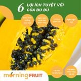  Đu đủ ruột vàng hữu cơ 