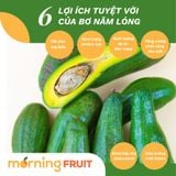  Bơ Năm Lóng 