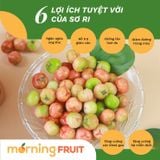  Sơ ri Gò Công 