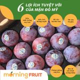  Mận đỏ Mỹ 