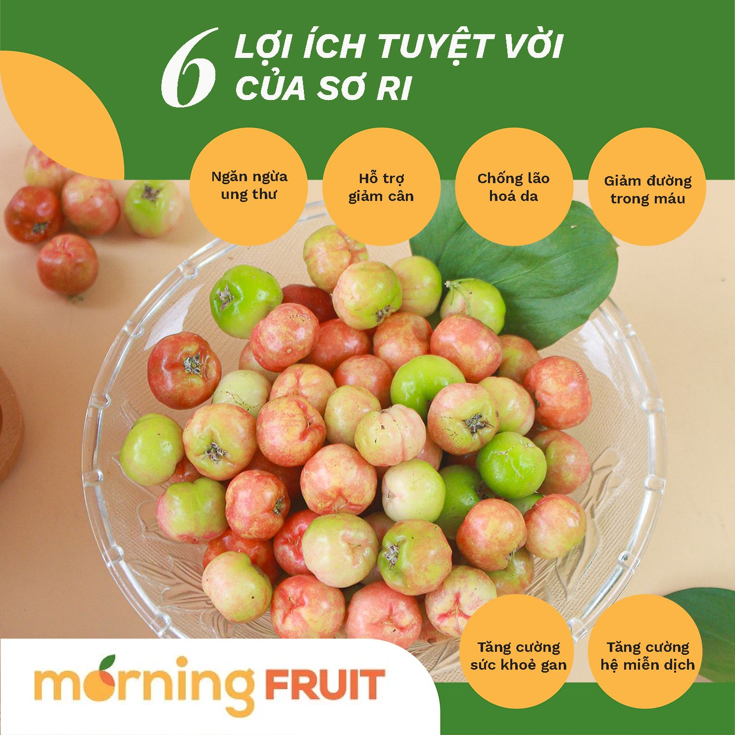 Sơ ri Gò Công – Morning Fruit - Trái Cây Chất Lượng Cao