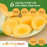  Hồng giòn Fuyu Mộc Châu 