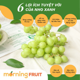  Nho xanh Mỹ 