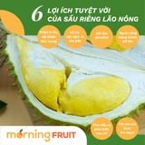  Sầu riêng Lão Nông (nguyên trái) 