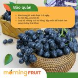  Nho đen Mỹ 