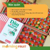  Dâu Nghệ Nhân (Hộp 500gr) 
