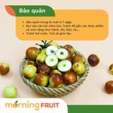  Hồng táo Bắc Kinh 